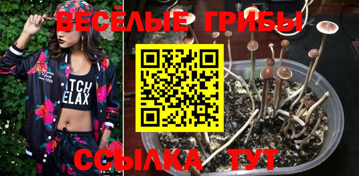 Псилоцибиновые грибы мицелий  Вход с VPN  Кандалакша 