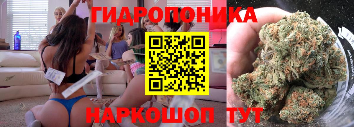 Шишки марихуана SATIVA & INDICA  Вход с VPN  Кандалакша  Шишки марихуана планчик  Шишки марихуана OG Kush 
